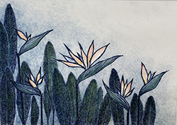 Birdies (Birds of Paradise)